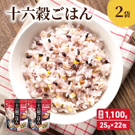 【ふるさと納税】雑穀 十六穀 ごはん 合計1,100g (25g×22包×2袋) 食物繊維　【鳥栖市】