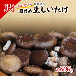 yӂ邳Ɣ[Łz󂠂  ꌧY  800g A ő ̂