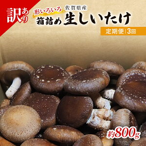 yӂ邳Ɣ[Łz 3 󂠂  ꌧY  800g A ő ̂ 3 y