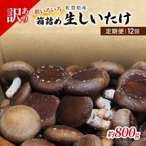 yӂ邳Ɣ[Łz 12 󂠂  ꌧY  800g A ő ̂ 12 y