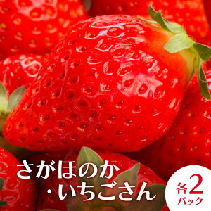 yӂ邳Ɣ[Łz 䕁iق̂Eje2pbN  C`S ʕ t[c fU[g zs:@͂F2026N1{`3܂