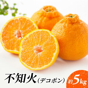 yӂ邳Ɣ[Łzłۂ sm΁ifR|j5kg k ʕ t[c fU[g zs:@͂F2026N1{`2{܂