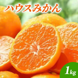 yӂ邳Ɣ[Łz݂ nEX݂1kg k ʕ t[c fU[g zs:@͂F2026N6{`7{܂