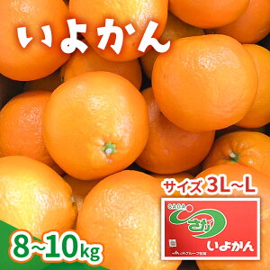 yӂ邳Ɣ[Łz悩 8`10kg(3L`LTCY) k ʕ t[c fU[g zs:@͂F2026N1{`1{܂