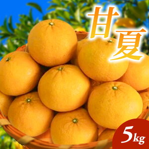 yӂ邳Ɣ[ŁzÉ 5kg k ʕ t[c fU[g zs:@͂F2026N4{`5{܂