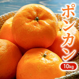 【ふるさと納税】ポンカン 10kg 柑橘 果物 フルーツ デザート ※配送不可:離島　お届け：2026年1月上旬～1月下旬まで