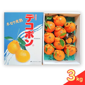 yӂ邳Ɣ[Łzłۂ ؂Ȃ芮n fR| 3kg 150P[X k ʕ t[c fU[g zs:@͂F2026N3{`4{܂