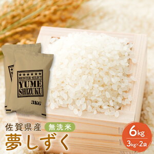 yӂ邳Ɣ[Łz  ꌧY 6kgi3kg×2܁j܂ă}CX^[I    R  zs: