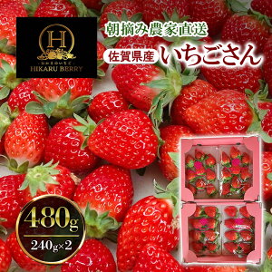 �y�ӂ邳�Ɣ[�Łz������ �_�ƒ��� ���������� 480g (240g×2) �C�`�S ���E�� �u�����h �ʕ� ���z���s�F�����@���͂��F2026�N1����{�`4����{�܂�