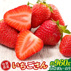 yӂ邳Ɣ[Łz ꌧY  960g (240g×4pbN) C`S ʕ zsFkCAꌧA@͂F2026N2{菇o