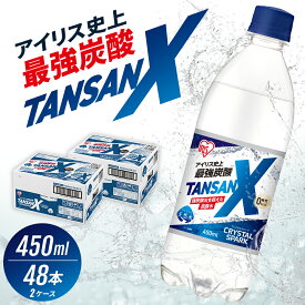【ふるさと納税】炭酸 アイリス史上最強炭酸 TANSAN X 450ml×24本 2ケース (計48本) 強炭酸 炭酸水 飲料