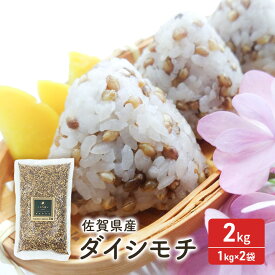 【ふるさと納税】麦 もち麦 佐賀県産 『ダイシモチ』2kg (1kg×2袋) ご飯 白飯 お米 コメ こめ ※配送不可:離島