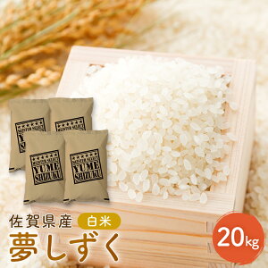 yӂ邳Ɣ[ŁzV s\  ꌧY  20kg (5kg×4) ܂ă}CX^[I  zsF@͂F2025N11{`