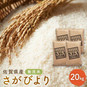 yӂ邳Ɣ[ŁzV s\ т ꌧY  20kg (5kg×4) ܂ă}CX^[I  zsF@͂F2025N11{`