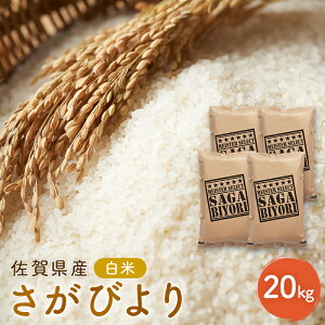 yӂ邳Ɣ[ŁzV s\ т ꌧY  20kg (5kg×4) ܂ă}CX^[I  zsF@͂F2025N11{`