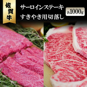 yӂ邳Ɣ[Łzꋍ T[C Xe[L 1000g/₫ ؗ 1000g zsFkCAA