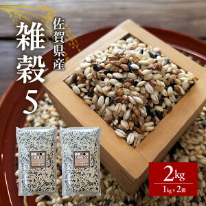 yӂ邳Ɣ[Łz yG5z 1kg×2 2kg ܍ ꌧY ܂ă}CX^[ďC H@ L` _CV` G  Ă    R  zs: