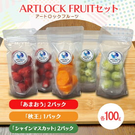 【ふるさと納税】フルーツセット 九州産 ARTLOCK FRUIT（アートロックフルーツ） セット/「あまおう」2パック「秋王」1パック「シャインマスカット」2パック 国産冷凍フルーツ あまおう いちご イチゴ 柿 かき マスカット 果物 くだもの 冷凍 ※配送不可:離島