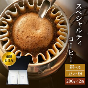 yӂ邳Ɣ[Łz Nh[蓤X XyVeBR[q[ I C Zbg ( or )y200g×2܁z