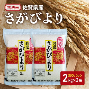 yӂ邳Ɣ[Łzyāzт2kg×2(^pbN)  т ꌧY  4kg ܂ă}CX^[I    R  zs: