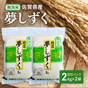 yӂ邳Ɣ[Łzyāz2kg×2(^pbN)   ꌧY  4kg ܂ă}CX^[I    R  zs: