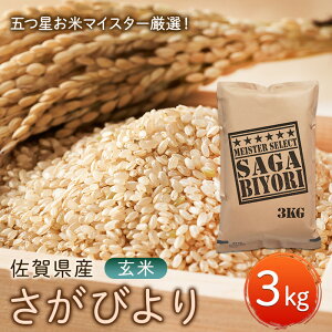 yӂ邳Ɣ[Łz т 3kg ܂ă}CX^[II   zsF