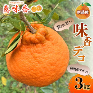 �y�ӂ邳�Ɣ[�Łz�݂��� �����f�R 3kg �ʕ� �t���[�c ���z���s�F�����@���͂��F2026�N3��1���`5��15��