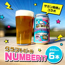 【ふるさと納税】クラフトビール NUMBER17 6本 セット ビール お酒 クラフト