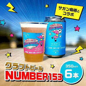 �y�ӂ邳�Ɣ[�Łz�N���t�g�r�[�� NUMBER153 / WHEAT SOUR ALE WITH ���������� 6�{ �Z�b�g �r�[�� ���� �N���t�g�@���͂��F�`2026�N2��20���܂�