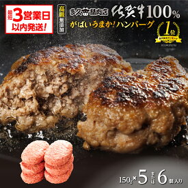 【ふるさと納税】 佐賀牛の旨みがぎっしり 和牛100％使用 ハンバーグ 150g×6個 5個 個包装 佐賀県産 国産 佐賀牛 黒毛和牛 和牛 肉 お肉 牛肉 ハンバーグ セット 冷凍 ギフト 贈答用 自宅用 10000 10000円 b-186