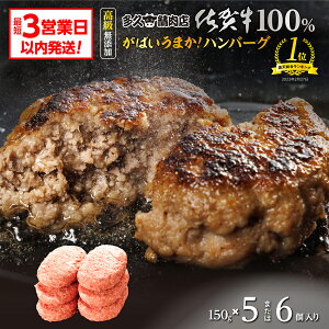 yӂ邳Ɣ[Łz ꋍ̎|݂ a100gp no[O 150g×6 5  ꌧY Y ꋍ јa a    no[O Zbg Ⓚ Mtg p p 10000
