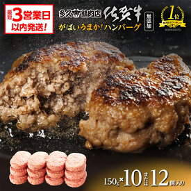 【ふるさと納税】 がばいうまか！ 肉汁あふれる 佐賀牛使用 ハンバーグ 150g×12個 10個 個包装 佐賀県産 国産 佐賀牛 黒毛和牛 和牛 肉 お肉 牛肉 ハンバーグ セット 冷凍 ギフト 贈答 贈答用 人気 10000 10000円 b-400