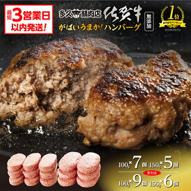 【ふるさと納税】 佐賀牛 入り ハンバーグ 親子 セット 150g×6個 100g×9個 100g×7個 150g×5個 個包装 佐賀県産 国産 佐賀牛 佐賀県産豚 黒毛和牛 和牛 肉 お肉 豚肉 ハンバーグ 無添加 10000 10000円 b-310