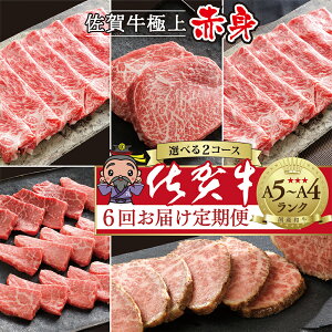 yӂ邳Ɣ[ŁzyꋍԐg̒ ×6zɏ̍ꋍ Iׂe v2.0kg / 2.4kg Hה  Xe[L [Xgr[t ē Ԃ Ă Ԑg ꌧY 