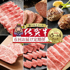 【ふるさと納税】【佐賀牛の定期便 奇数月×6回】n-7 / n-20 極上の佐賀牛 選べる内容量 計1.91kg / 2.25kg 食べ比べ すき焼き ハンバーグ 赤身肉 焼肉 肩ロース しゃぶしゃぶ 焼きしゃぶ 厚切り サーロインステーキ ローストビーフ 佐賀牛 定期便 n-7