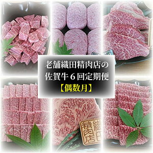yӂ邳Ɣ[Łzy  z V DcX  ꋍ 6  f|35