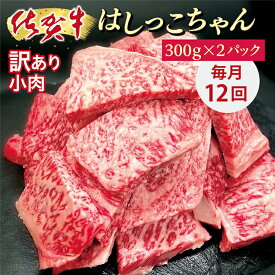 【ふるさと納税】【毎月 12回】佐賀 牛 小肉「 はしっこちゃん 」 牛肉 端切れ 定期便 f－68