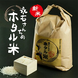【ふるさと納税】【令和7年産 新米】 さがびより 定期便 10kg×4回 | さがびより 定期便 永石さんちのホタル米 白米 お米 10kg×4回 10キロ×4回 40kg 40キロ こめ コメ 米 ごはん _e-29