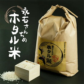 【ふるさと納税】【令和7年産】 さがびより 定期便 10kg×4回 | さがびより 定期便 永石さんちのホタル米 白米 お米 10kg×4回 10キロ×4回 40kg 40キロ こめ コメ 米 ごはん _e-29