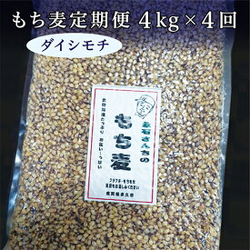 【ふるさと納税】e－30　もち麦 ダイシモチ 国産 定期便 4kg × 4回 | もち麦 ダイシモチ 国産 永石さんちのもち麦 定期便 4kg × 4回