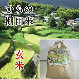【ふるさと納税】【令和7年産 新米】 棚田米 夢しずく 玄米 10kg × 2袋 計 20kg ひらの棚田米 | 玄米 10キロ 2袋 計 20キロ こめ コメ 米 お米 ごはん _c-86