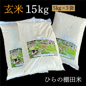 yӂ邳Ɣ[Łzyߘa7NY V \z Ic   5kg × 3 v 15kg Ђ̒Ic |  5L v 15L  R  ͂ _b-238