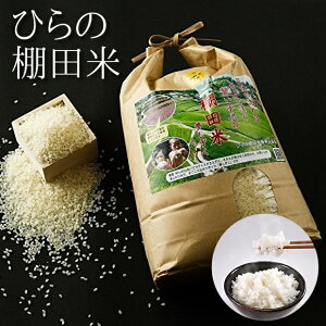 yӂ邳Ɣ[Łzyߘa7NY V \z Ic    13.5kg  15kg Ђ̒Ic |   13.5L  15L  R    ͂ _d-50