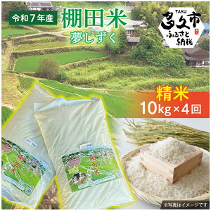 yӂ邳Ɣ[Łzyߘa7NY V \z  Ic    10kg ×4 v 40kg Ђ̒Ic |   10L 4 v 40L   R   ͂ _p-5