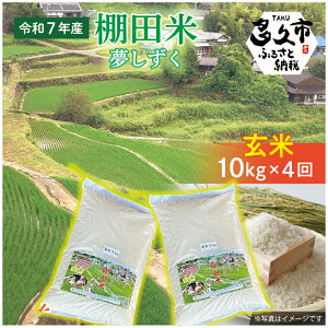 yӂ邳Ɣ[Łzyߘa7NY V \z  Ic   10kg×4 v 40kg Ђ̒Ic |  10L 4 v 40L   R  ͂ _p-6