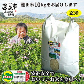 【ふるさと納税】【 令和7年産 新米 】 玄米 10kg 夢しずく 農薬・化学肥料不使用「 しょうちゃんの 棚田米 」 10kg モチモチ食感と優しい甘み 特A 受賞 化学肥料不使用 オーガニック 棚田 米 コメ お米 おこめ 10キロ 10 c-43