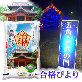 【ふるさと納税】【 令和5年産 米 】 さがびより ＼ 14年連続特A受賞縁起米 ／ 合格びより 5kg×2袋 御守 セット | お米 白米 さがびより 佐賀県産 奉納 合格 御守 祈願 z-76