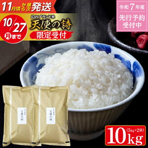 yӂ邳Ɣ[Łz_т̕ni^yߘa7NY V 󏭕āz Vg̎ 5kg×2 v10kg т ̕ŐY | ӂ邳Ɣ[  ӂ邳Ɣ[ V ߘa7NY  