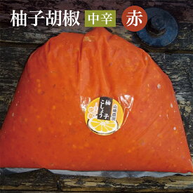 【ふるさと納税】b－184　銀座有名店使用の柚子胡椒（ゆずこしょう）【赤】【中辛】1kg