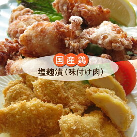 【ふるさと納税】国産鶏 塩麹漬 塩麹チキン 小分け 冷凍 唐揚げ チキンカツ 鶏むね肉 時短 b-168